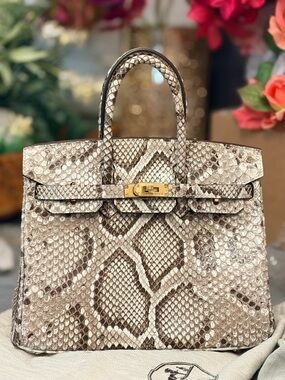 Luxury Neutral Python-Print Top-Handle Bag H Birkin 25 genuine snakeskin brown